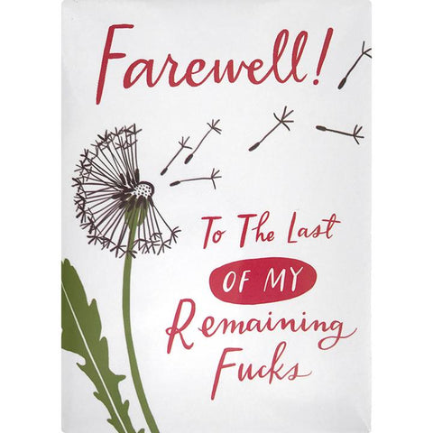 Remaining Fucks Magnet